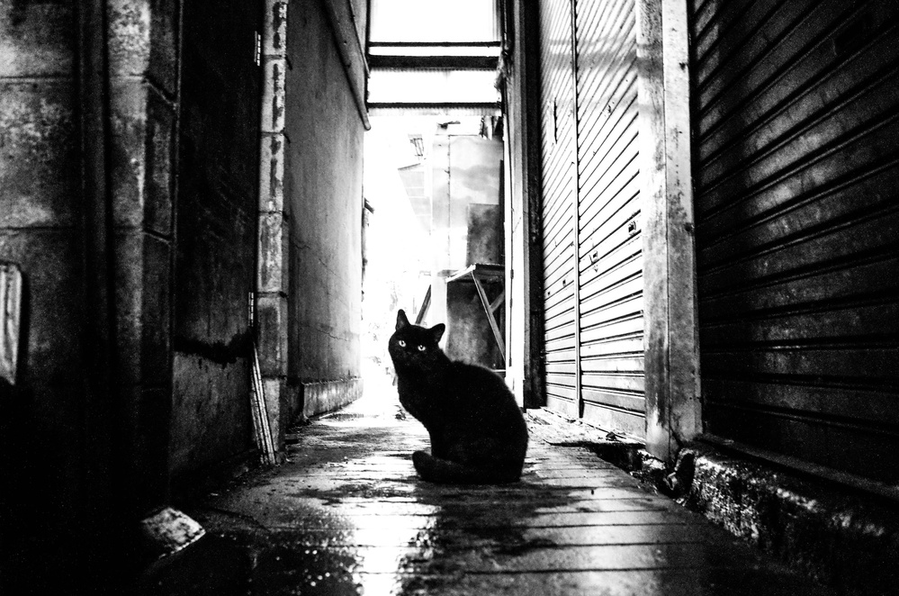 street 10 von Masahiro Miyagi