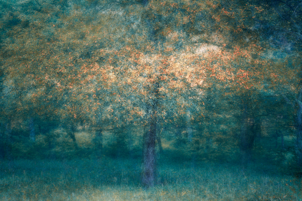 etch von Masaki Sugita