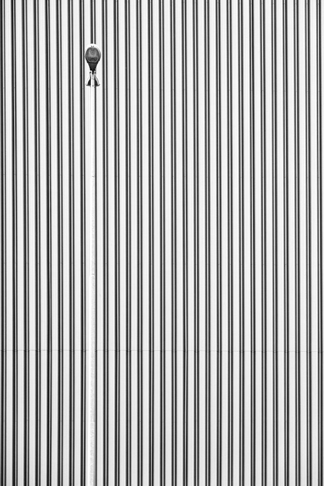 Useless camouflage tests von Massimo Alloi