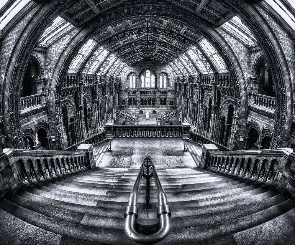 Harry Potter lernt Escher und Darwin kennen. von Massimo Cuomo