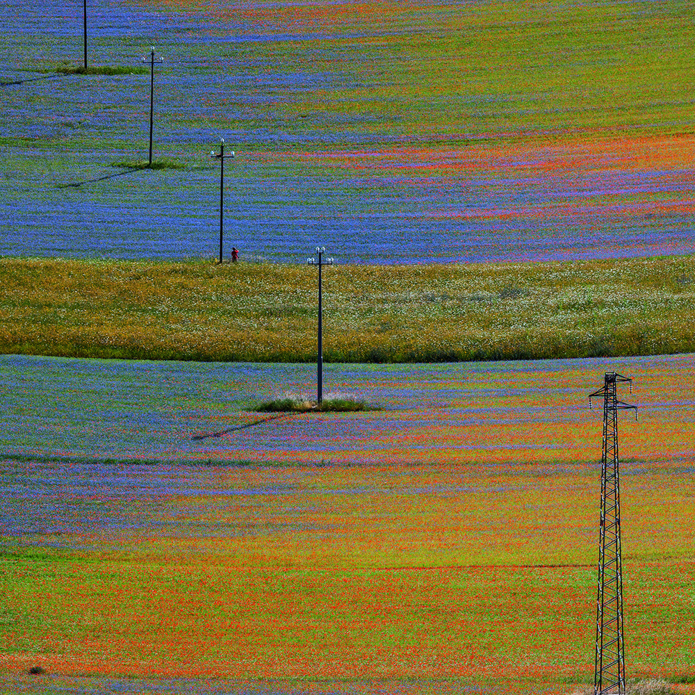 Castelluccio 1 von Massimo Della Latta