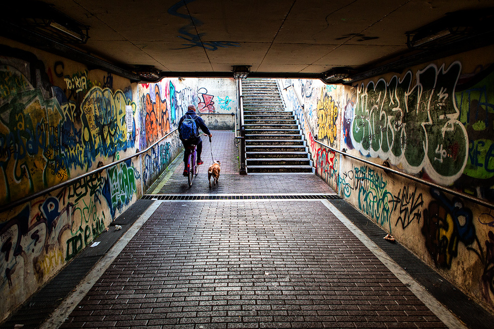 The dog von Massimo Della Latta