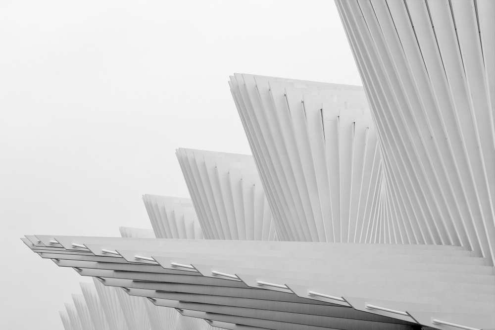 Fly von Massimo Della Latta