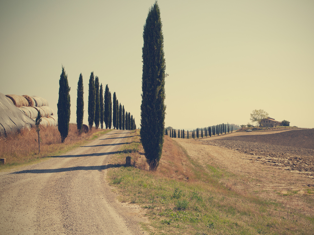 Tuscan countryside von Massimo Della Latta