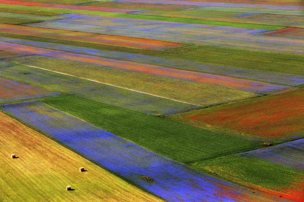 Untitled von Massimo Della Latta