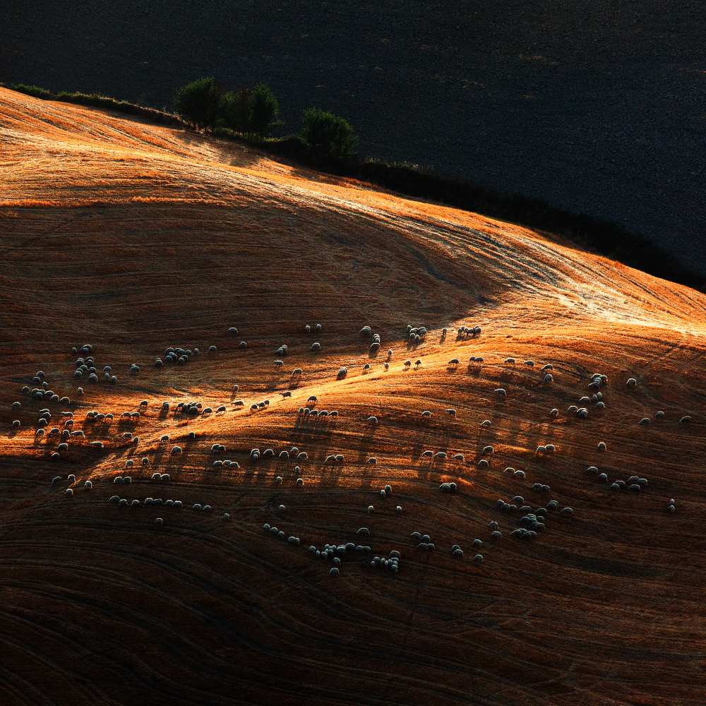 Untitled von Massimo Della Latta