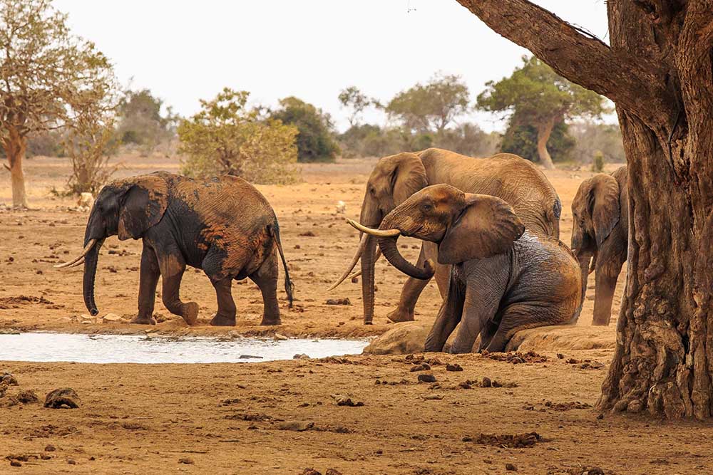 Erfrischend von Massimo Mei