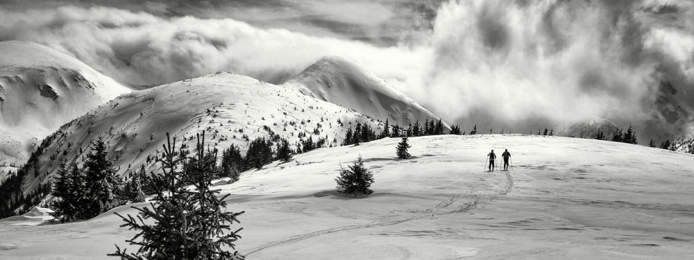 into the wild . . von Matej Rumansky