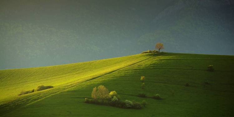 painted with light . . von Matej Rumansky