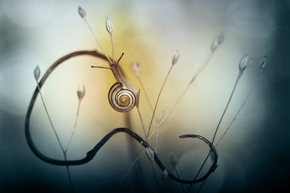 Night and day von mathieu irthum