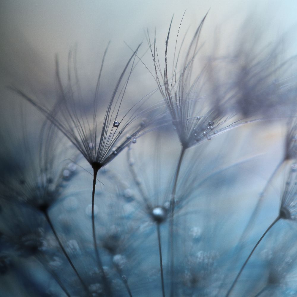 Tränen von mathieu irthum