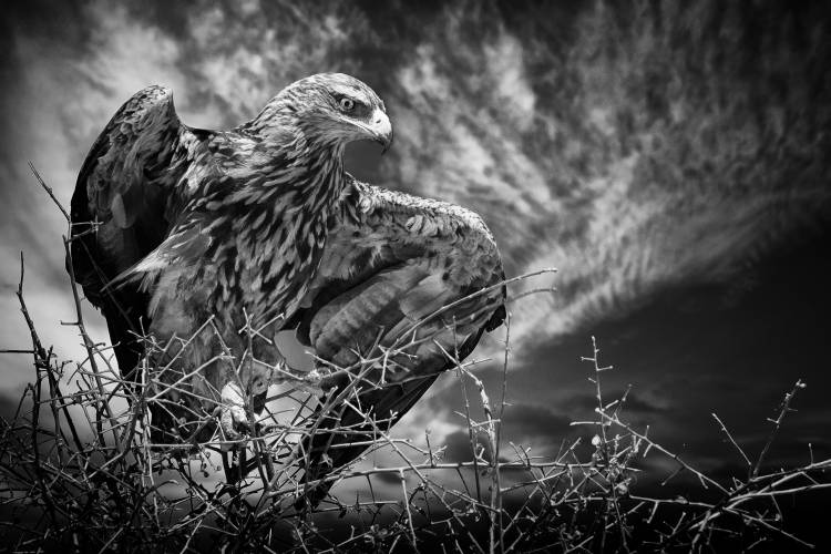 Be alert von Mathilde Guillemot