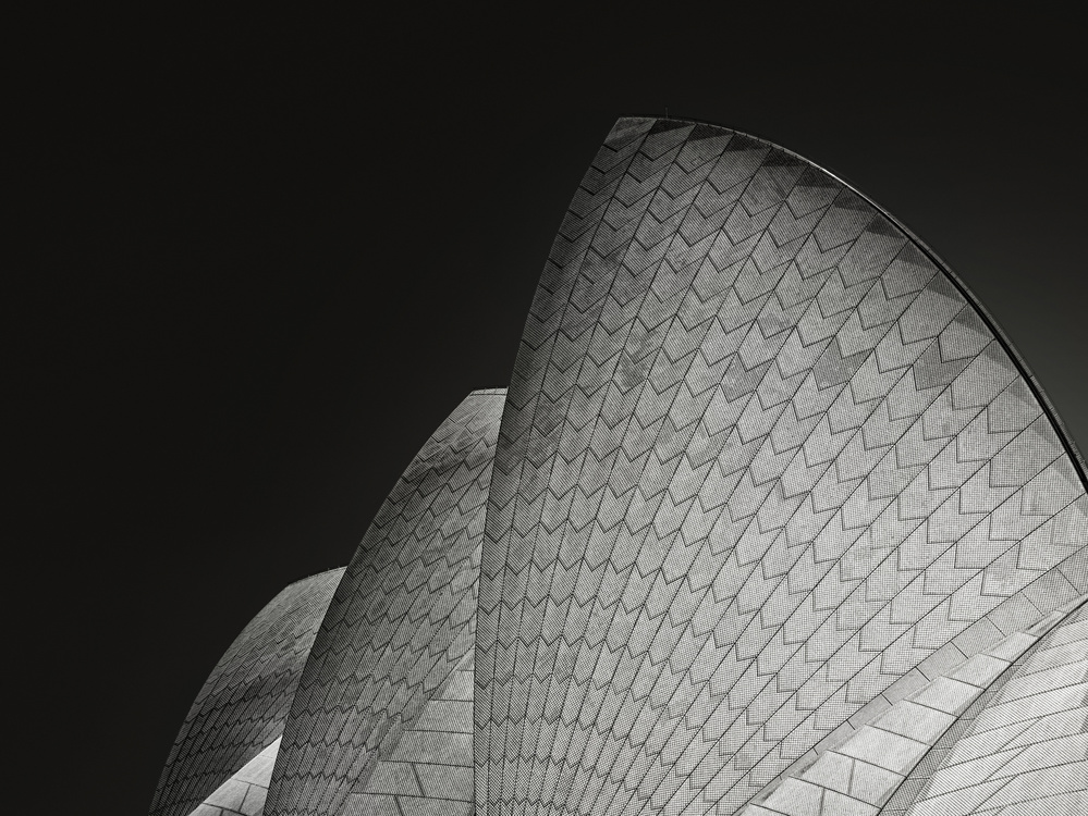Rafters and Curves von Mathilde Guillemot