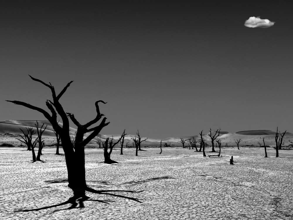 The cloud from the dead von Mathilde Guillemot