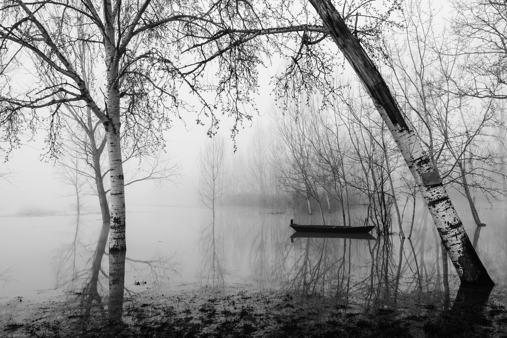 Fog in the marsh von Matteo Chiarello