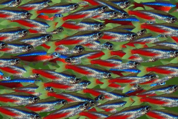 Gegen die Strömung von Matthias Krüttgen