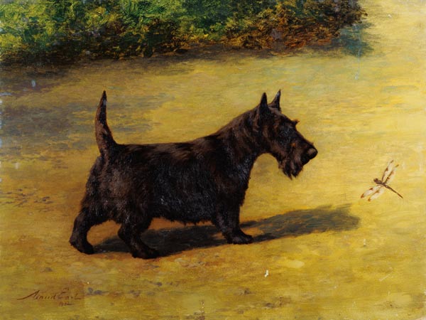 An Inquisitive Look von Maud Earl