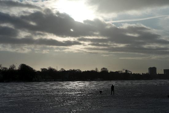 Eis auf der Außenalster von Maurizio Gambarini