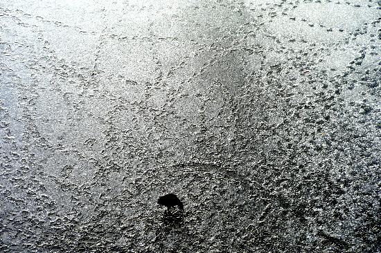 Spuren im Eis von Maurizio Gambarini