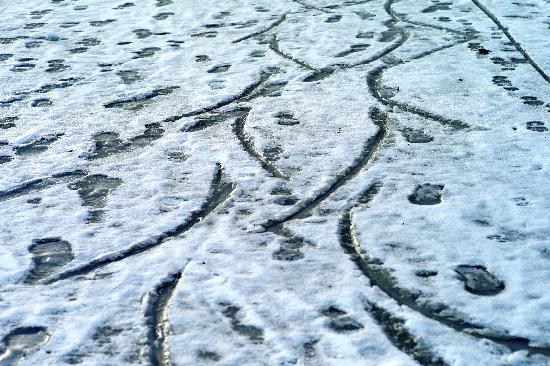 Spuren im Eis von Maurizio Gambarini