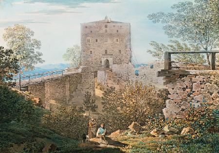 Die Ruine Saldenburg