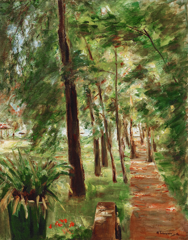 Die Birkenallee im Wannseegarten nach Osten von Max Liebermann