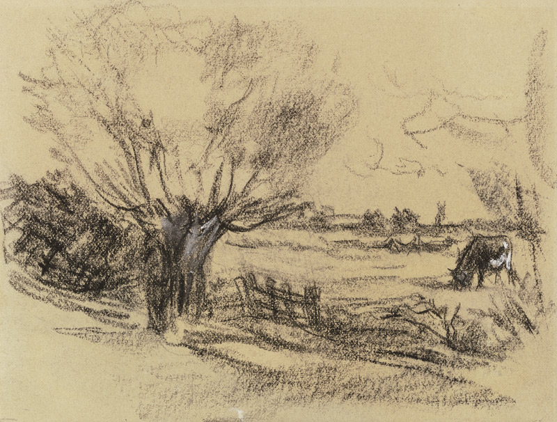 Wiese mit Vieh, vorne eine Kopfweide von Max Liebermann