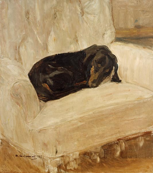 Schlafender Dackel im Lehnstuhl von Max Liebermann