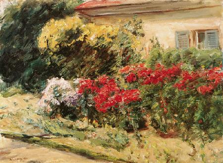 Blumenstauden vor dem Gärtnerhäuschen im Wannseegarten 1926