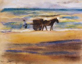 Muschelsucher am Strand.