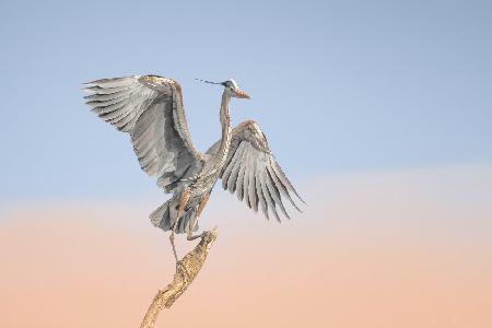 Dancing in the cloud