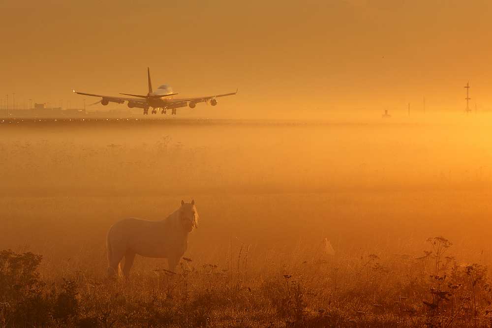 Untitled von Max Witjes