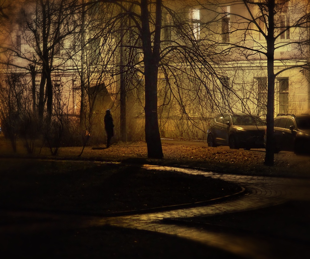 Old yard von Maxim Makunin