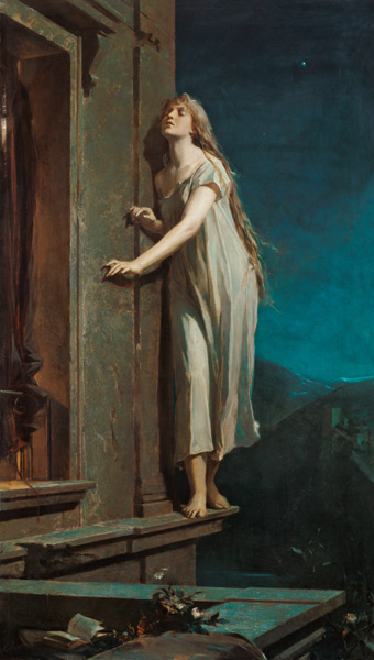 Die Nachtwandlerin von Maximilian Pirner