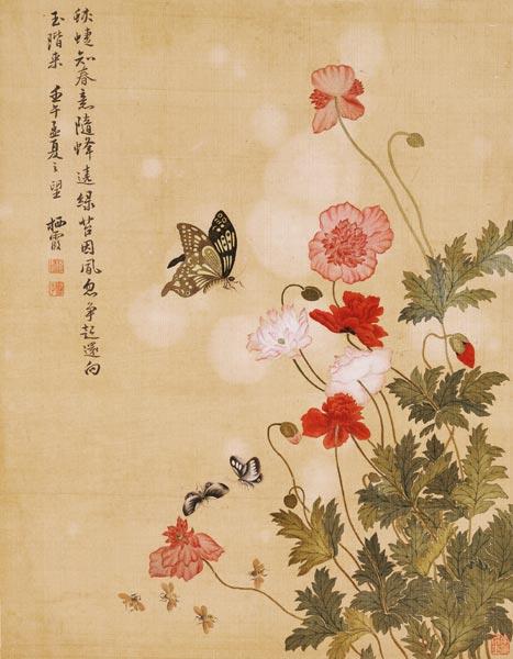 Mohnblumen und Schmetterlinge