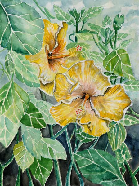 Hibiscus flowers von Derek McCrea