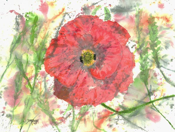POPPY BURST von Derek McCrea