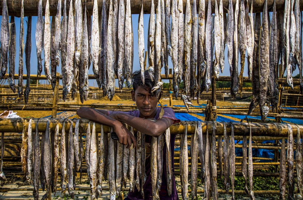 A worker boy of dried fish von Md. Sharif Uddin