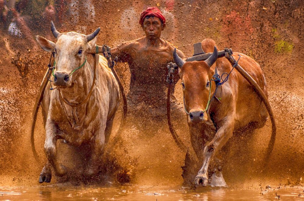 Der rote Hut von Media Hendriko