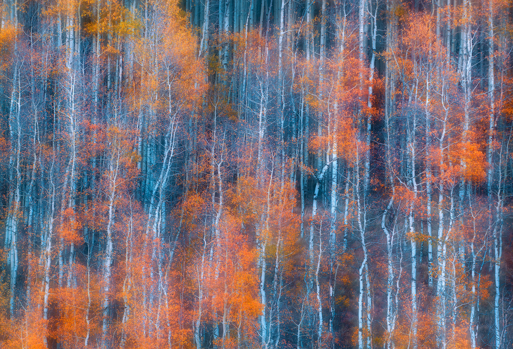 Autumn Abstract von Mei Xu