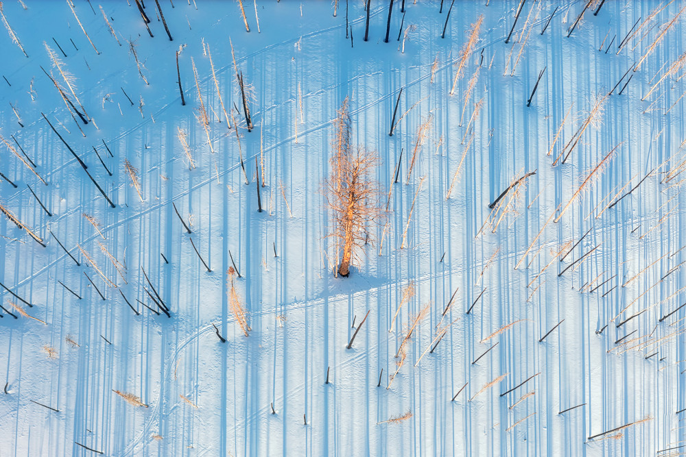 Life and Death von Mei Xu