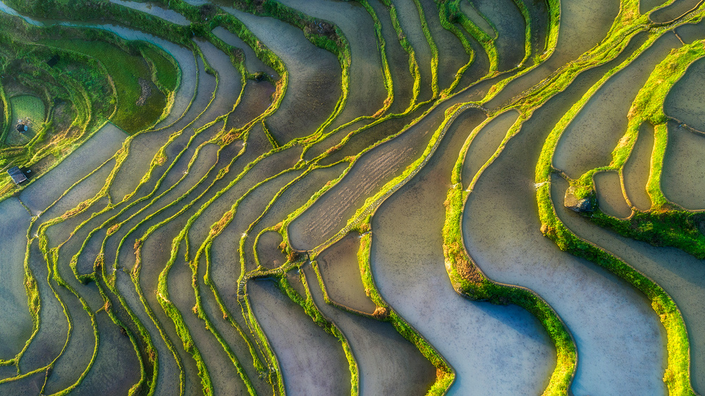 Terraced Fields von Mei Xu