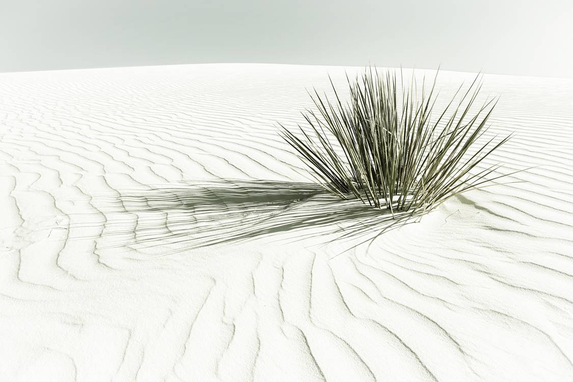 Dünen, White Sands National Monument | Vintage von Melanie Viola