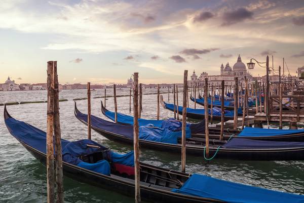 Gondeln & Santa Maria della Salute in Venedig von Melanie Viola