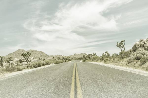 Joshua Trees, Park Boulevard | Vintage von Melanie Viola