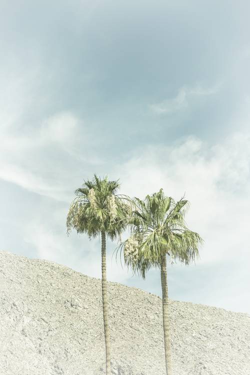 Palmen in der Wüste | Vintage von Melanie Viola