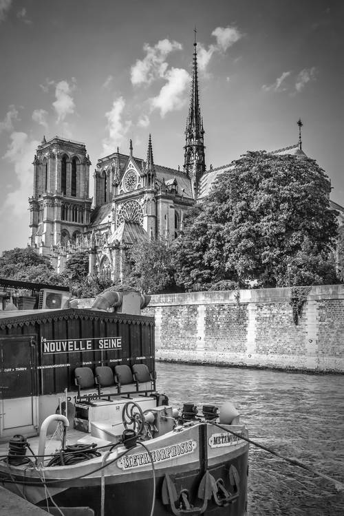PARIS Kathedrale Notre-Dame | Monochrom von Melanie Viola