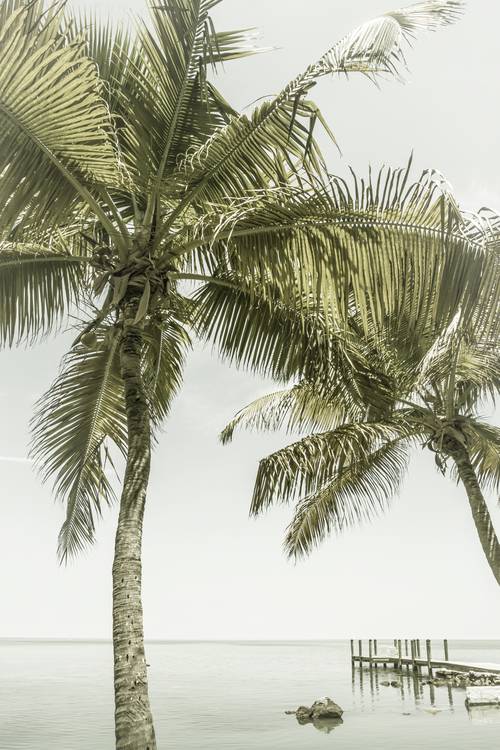 Traumhafte Küste | Vintage von Melanie Viola