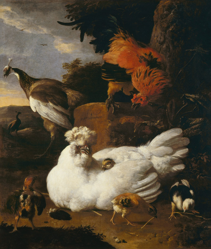 Glucke mit Küken und Pfauen. Gegenstück zu Der siegreiche Hahn. von Melchior de Hondecoeter