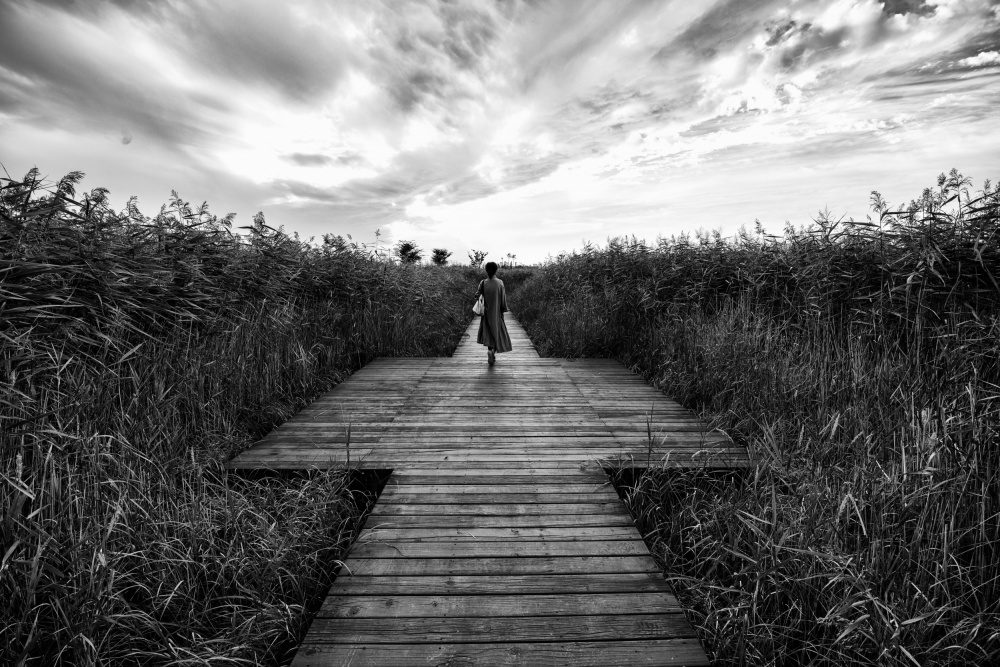 A Forgotten Small Island von Mi Young Choi